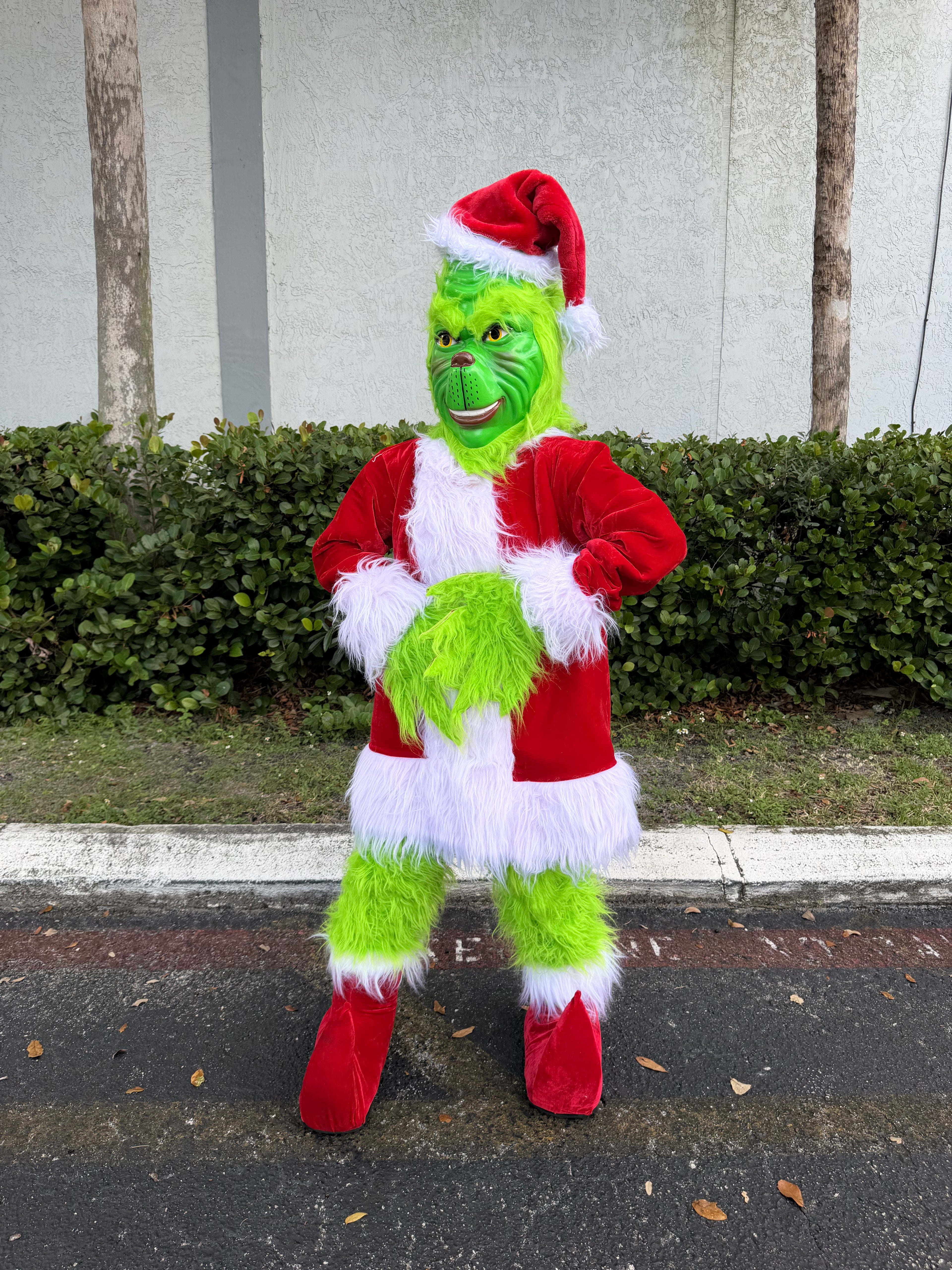 Deluxe Grinch